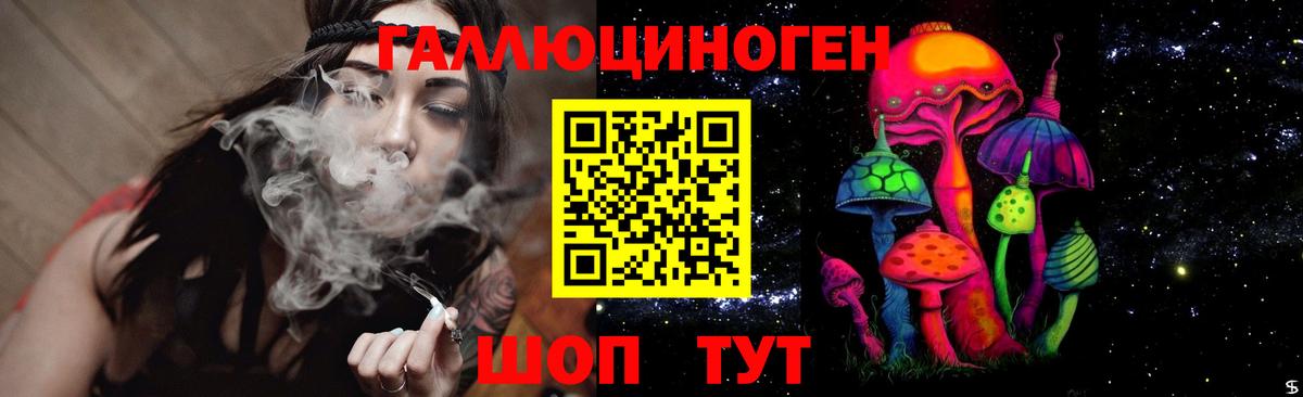 Псилоцибиновые грибы Psilocybe  Вход с VPN  Кондопога  Галлюциногенные грибы прущие грибы 
